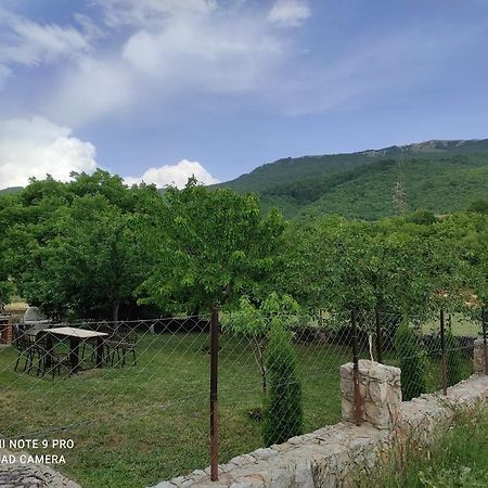Aleks Villa Ohrid Eksteriør billede
