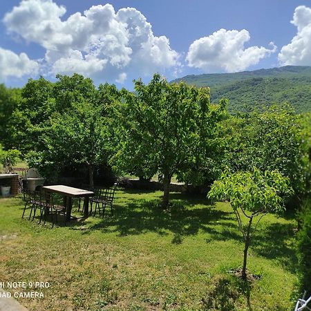 Aleks Villa Ohrid Eksteriør billede