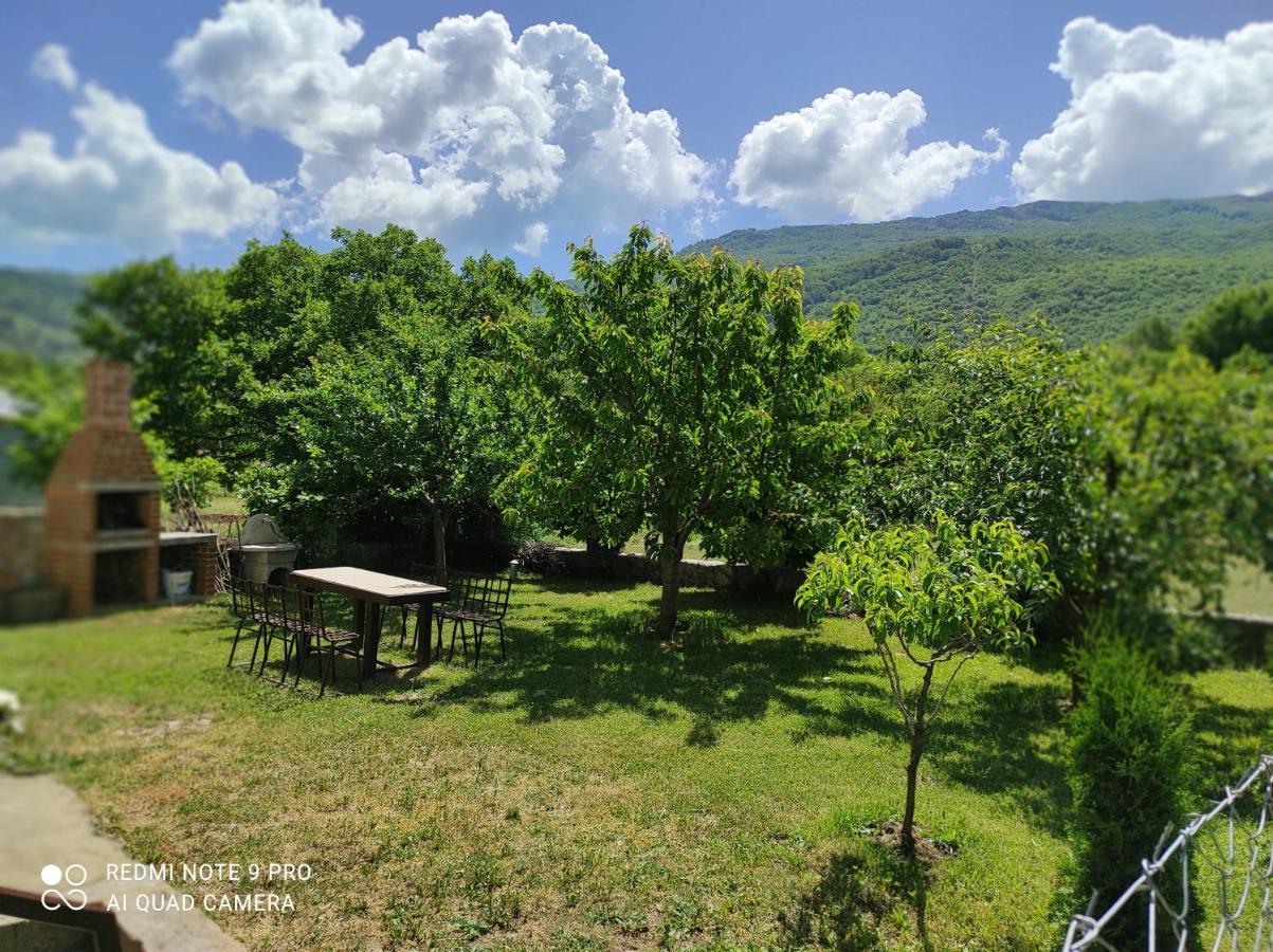 Aleks Villa Ohrid Eksteriør billede