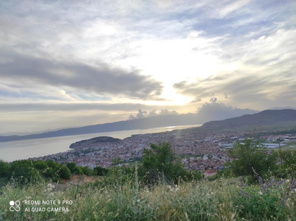Aleks Villa Ohrid Eksteriør billede